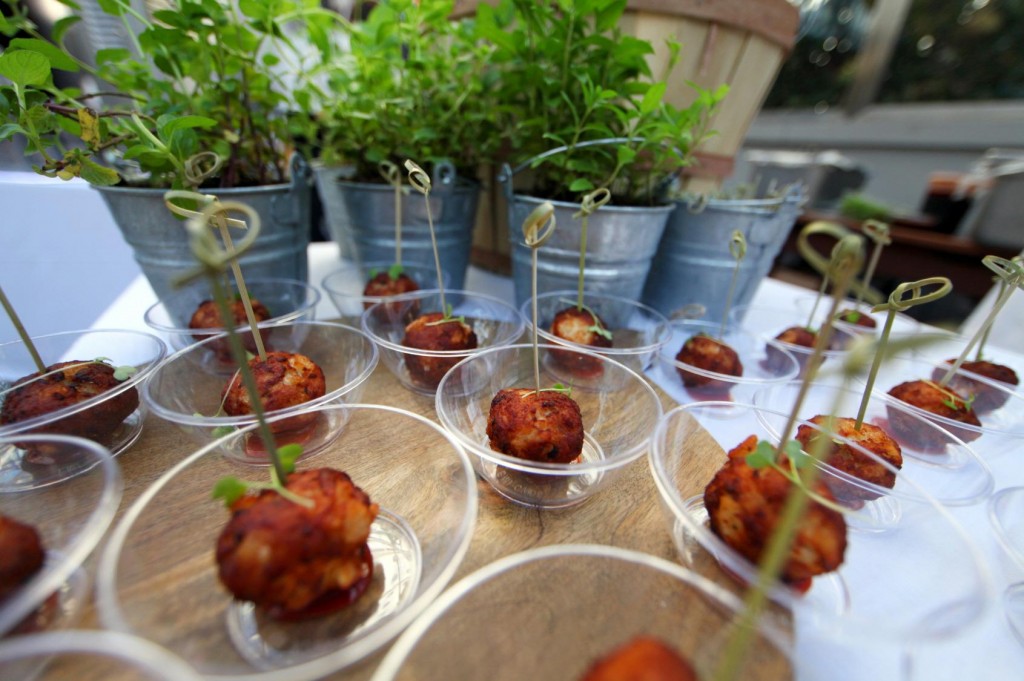 905240_573284286036651_100469181_o