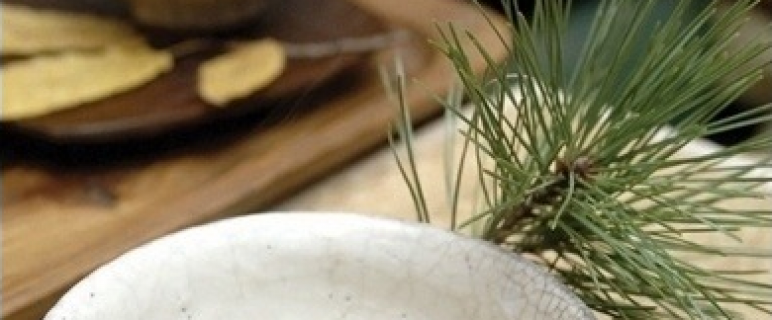 Korean Fermented Pine Needle Tea Korean Fermented Pine Needle Tea